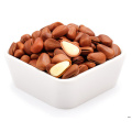 Blanched Pine Nuts. / Cheap Pine Nuts Prices/Chinese Pinenut Kernels